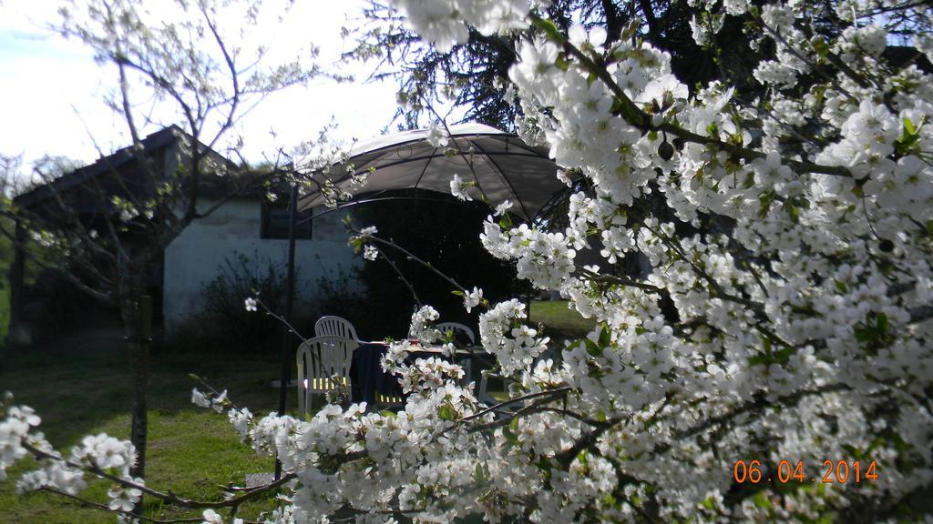 Demeure De L'Ile Rollet Hotel Saint-Jean-de-Losne Kültér fotó