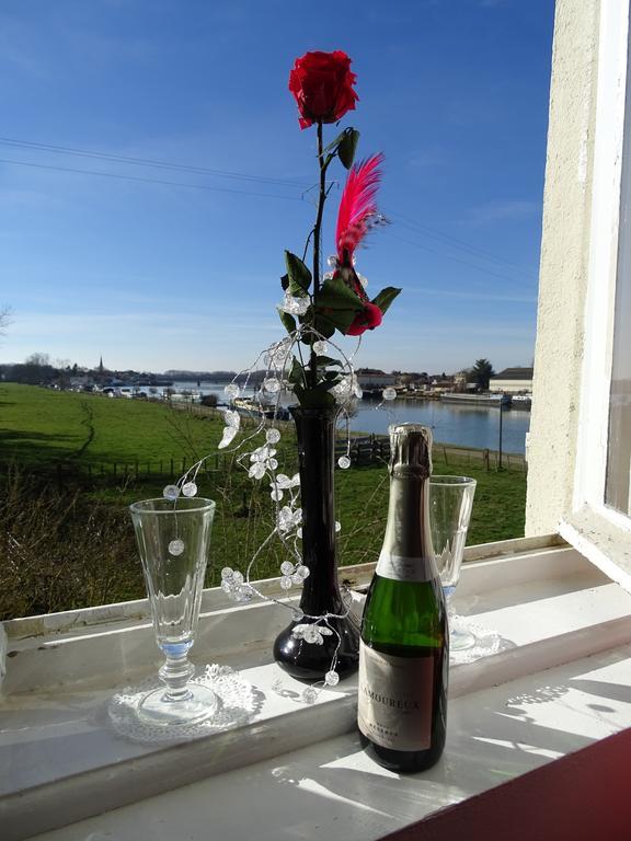 Demeure De L'Ile Rollet Hotel Saint-Jean-de-Losne Kültér fotó